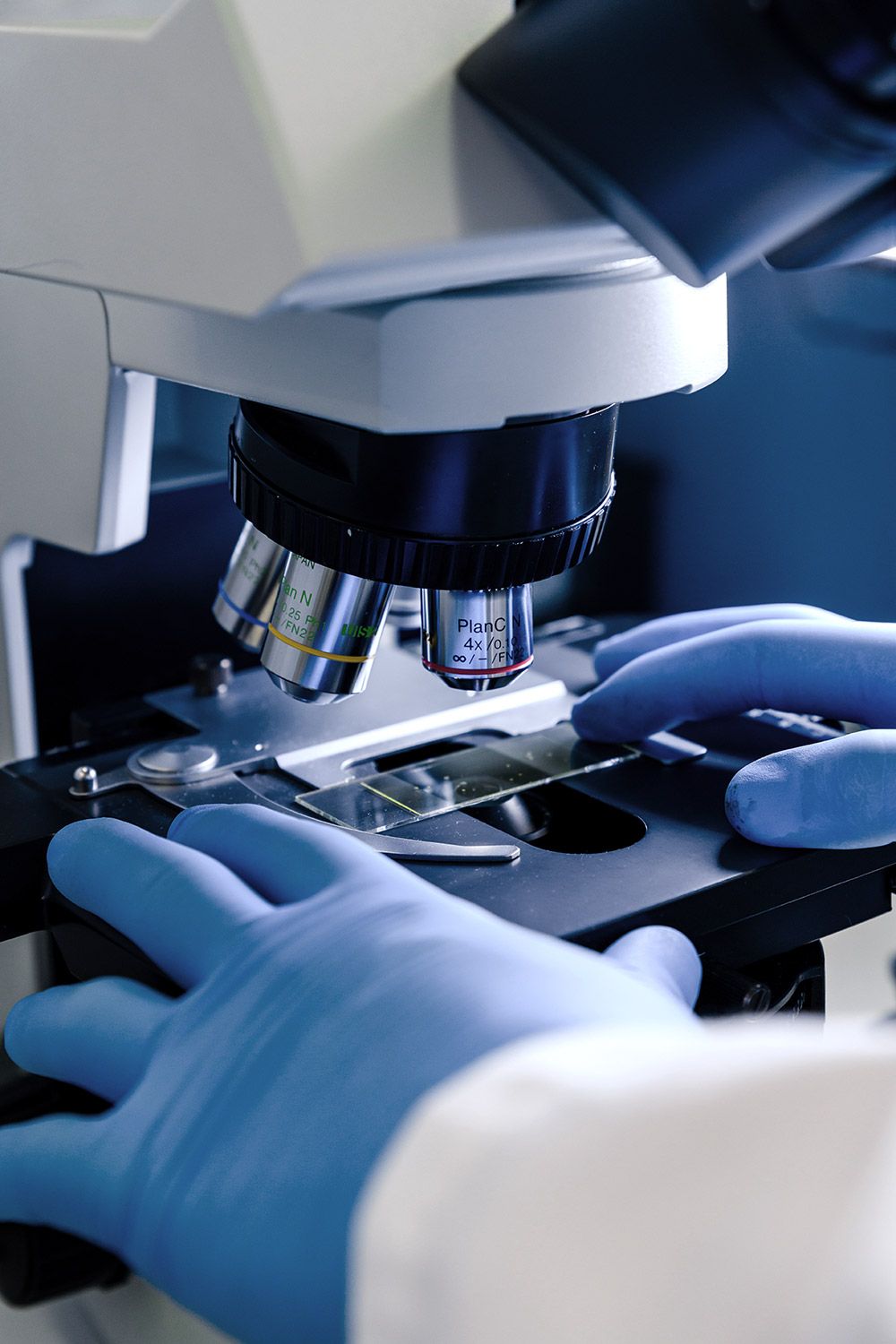 Ciencias de la Salud